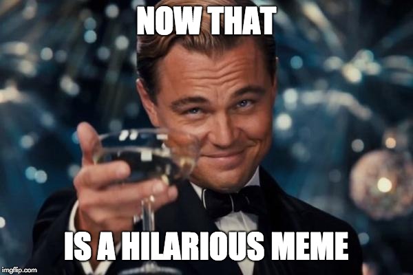 Leonardo Dicaprio Cheers Meme | NOW THAT IS A HILARIOUS MEME | image tagged in memes,leonardo dicaprio cheers | made w/ Imgflip meme maker