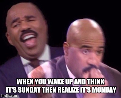 Steve Harvey Laughing Serious | WHEN YOU WAKE UP AND THINK IT'S SUNDAY THEN REALIZE IT'S MONDAY | image tagged in steve harvey laughing serious,monday,memes,funny | made w/ Imgflip meme maker