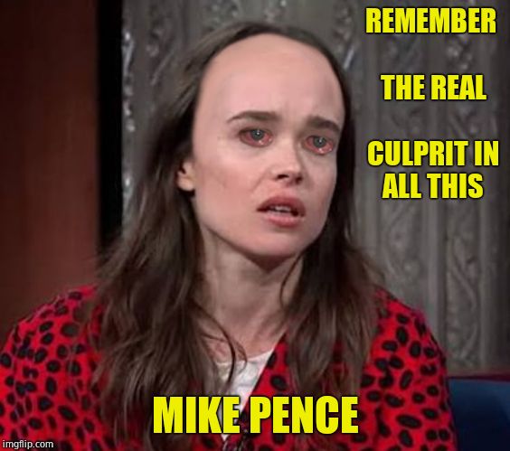 REMEMBER THE REAL CULPRIT IN ALL THIS MIKE PENCE | made w/ Imgflip meme maker
