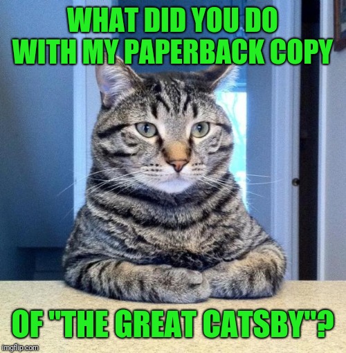 No, I need to know beclaws it was due at the library two weeks ago | WHAT DID YOU DO WITH MY PAPERBACK COPY; OF "THE GREAT CATSBY"? | image tagged in serious cat,great gatsby,book of idiots,stop reading the tags,cat meme | made w/ Imgflip meme maker