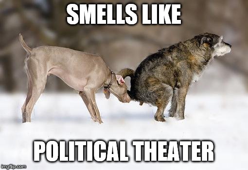 Dog sniffing poop | SMELLS LIKE POLITICAL THEATER | image tagged in dog sniffing poop | made w/ Imgflip meme maker
