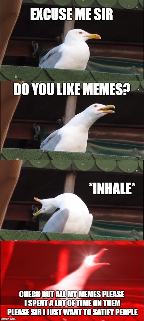 Inhaling Seagull | EXCUSE ME SIR; DO YOU LIKE MEMES? *INHALE*; CHECK OUT ALL MY MEMES PLEASE I SPENT A LOT OF TIME ON THEM PLEASE SIR I JUST WANT TO SATIFY PEOPLE | image tagged in memes,inhaling seagull | made w/ Imgflip meme maker