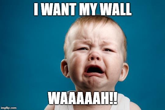 BABY CRYING | I WANT MY WALL; WAAAAAH!! | image tagged in baby crying | made w/ Imgflip meme maker