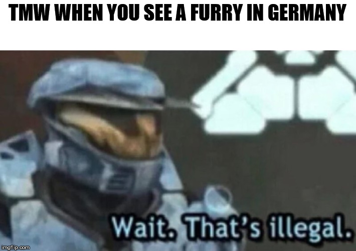 TMW WHEN YOU SEE A FURRY IN GERMANY | image tagged in memes,wait that's illegal | made w/ Imgflip meme maker