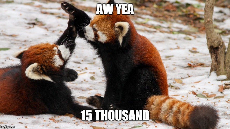 Red Panda has passed 15000! | AW YEA; 15 THOUSAND | image tagged in memes,high five,red panda,15k | made w/ Imgflip meme maker