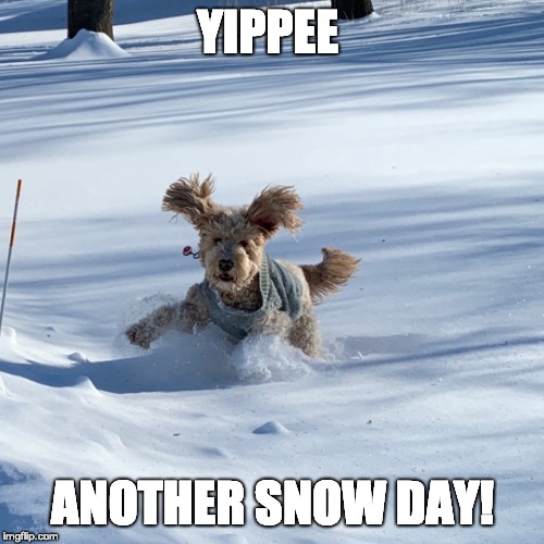 More snow | YIPPEE; ANOTHER SNOW DAY! | image tagged in snow,winter is here,minnesota | made w/ Imgflip meme maker