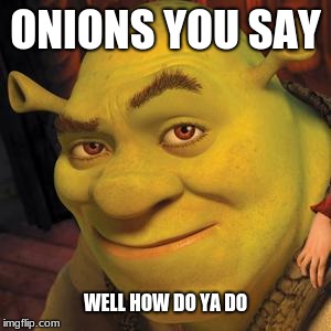 Shrek Sexy Face | ONIONS YOU SAY; WELL HOW DO YA DO | image tagged in shrek sexy face | made w/ Imgflip meme maker