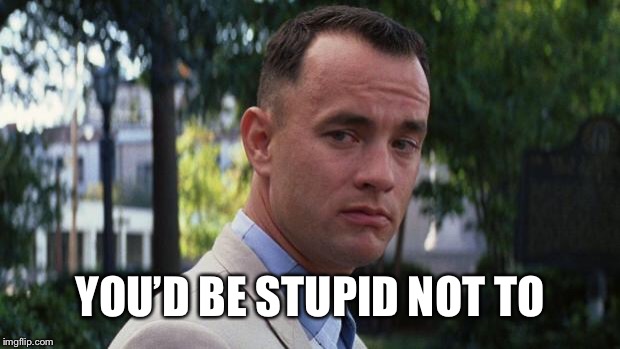 Forrest Gump | YOU’D BE STUPID NOT TO | image tagged in forrest gump | made w/ Imgflip meme maker