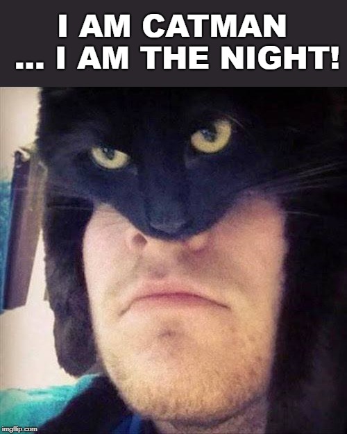 Takes over from Batman | I AM CATMAN ... I AM THE NIGHT! | image tagged in batman,cat,funny | made w/ Imgflip meme maker