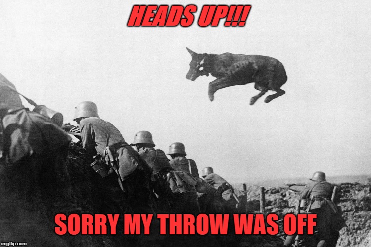 HEADS UP!!! SORRY MY THROW WAS OFF | made w/ Imgflip meme maker