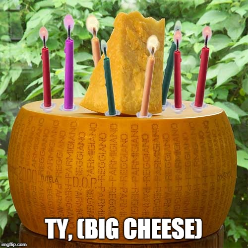 Big cheese | TY, (BIG CHEESE) | image tagged in big cheese | made w/ Imgflip meme maker
