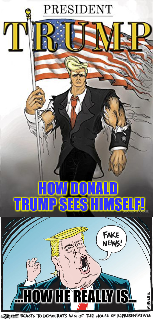 Allmighty Trump! (...sort of... not really... hmmm... not at all). :P | HOW DONALD TRUMP SEES HIMSELF! ...HOW HE REALLY IS... | image tagged in donald trump,trump,comics,fake news,usa | made w/ Imgflip meme maker