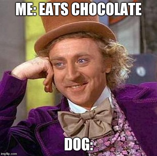 Creepy Condescending Wonka Meme | ME: EATS CHOCOLATE; DOG: | image tagged in memes,creepy condescending wonka | made w/ Imgflip meme maker