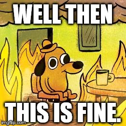 Dog in burning house |  WELL THEN; THIS IS FINE. | image tagged in dog in burning house,memes | made w/ Imgflip meme maker
