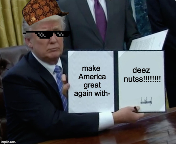 Trump Bill Signing Meme | make America great again with-; deez nutss!!!!!!!! | image tagged in memes,trump bill signing | made w/ Imgflip meme maker