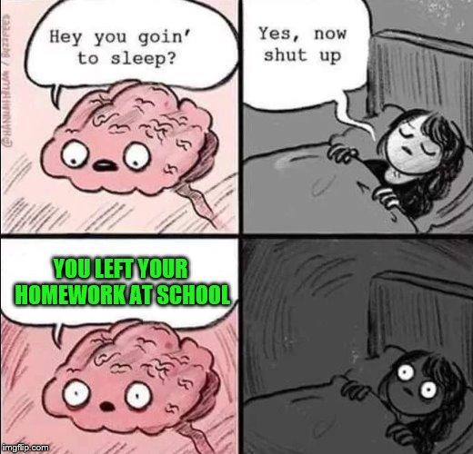 waking up brain | YOU LEFT YOUR HOMEWORK AT SCHOOL | image tagged in waking up brain | made w/ Imgflip meme maker