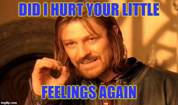 One Does Not Simply Meme | DID I HURT YOUR LITTLE FEELINGS AGAIN | image tagged in memes,one does not simply | made w/ Imgflip meme maker