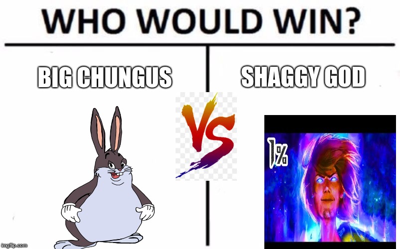 SHAGGY GOD; BIG CHUNGUS | image tagged in battle | made w/ Imgflip meme maker