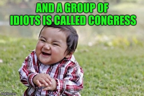 Evil Toddler Meme | AND A GROUP OF IDIOTS IS CALLED CONGRESS | image tagged in memes,evil toddler | made w/ Imgflip meme maker