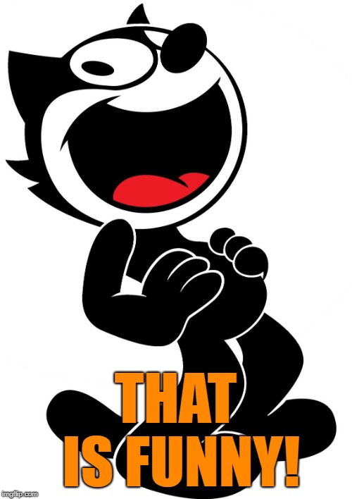 felix the cat | THAT IS FUNNY! | image tagged in felix the cat | made w/ Imgflip meme maker