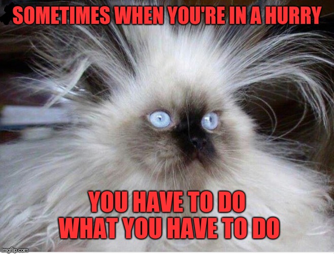 Frazzled over politics | SOMETIMES WHEN YOU'RE IN A HURRY YOU HAVE TO DO WHAT YOU HAVE TO DO | image tagged in frazzled over politics | made w/ Imgflip meme maker