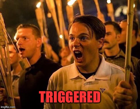 Triggered neo nazi | TRIGGERED | image tagged in triggered neo nazi | made w/ Imgflip meme maker