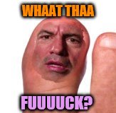 WHAAT THAA FUUUUCK? | made w/ Imgflip meme maker