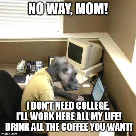 Monkey Business Meme | NO WAY, MOM! I DON'T NEED COLLEGE, I'LL WORK HERE ALL MY LIFE! DRINK ALL THE COFFEE YOU WANT! | image tagged in memes,monkey business | made w/ Imgflip meme maker