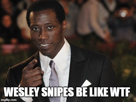 Wesley Snipes | WESLEY SNIPES BE LIKE WTF | image tagged in wesley snipes | made w/ Imgflip meme maker