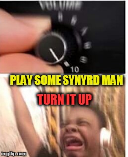 Turn it up | TURN IT UP PLAY SOME SYNYRD MAN | image tagged in turn it up | made w/ Imgflip meme maker