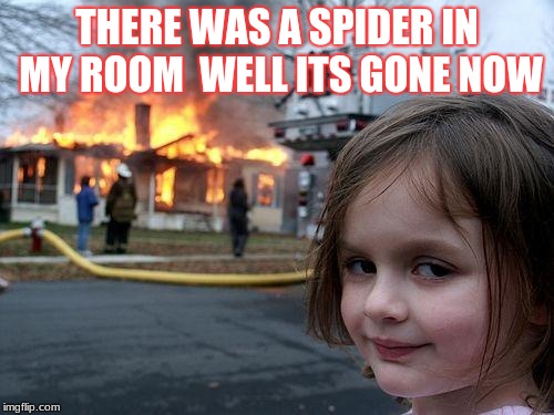 Disaster Girl Meme | THERE WAS A SPIDER IN MY ROOM 
WELL ITS GONE NOW | image tagged in memes,disaster girl | made w/ Imgflip meme maker