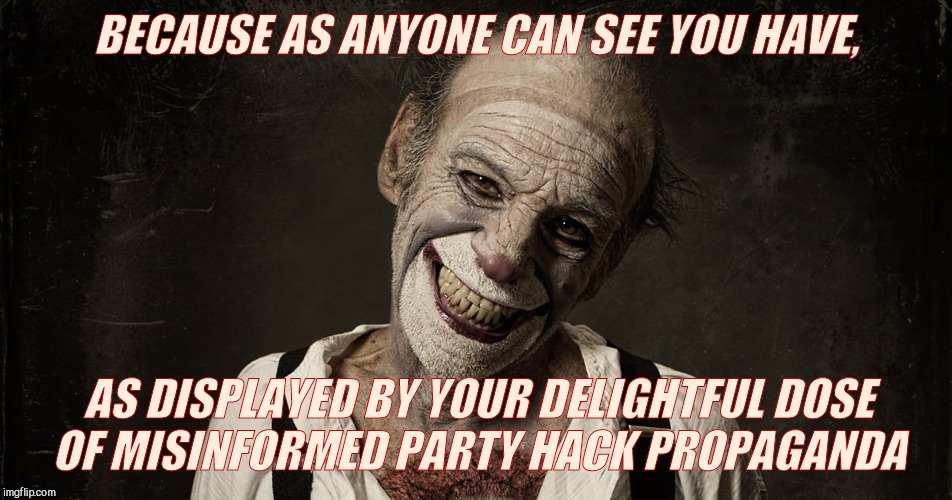 BECAUSE AS ANYONE CAN SEE YOU HAVE, AS DISPLAYED BY YOUR DELIGHTFUL DOSE  OF MISINFORMED PARTY HACK PROPAGANDA | made w/ Imgflip meme maker