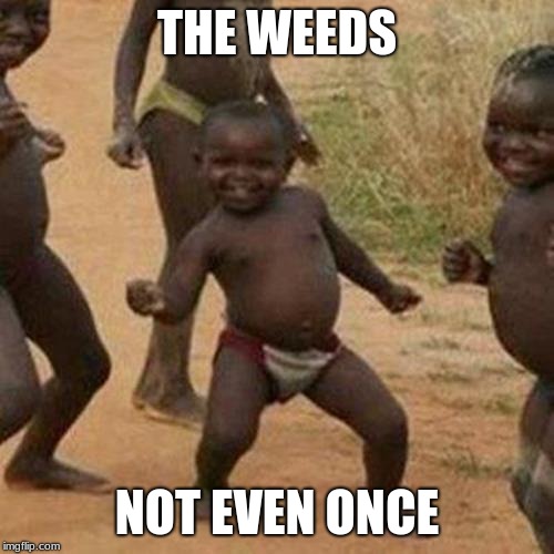 Third World Success Kid Meme | THE WEEDS; NOT EVEN ONCE | image tagged in memes,third world success kid | made w/ Imgflip meme maker