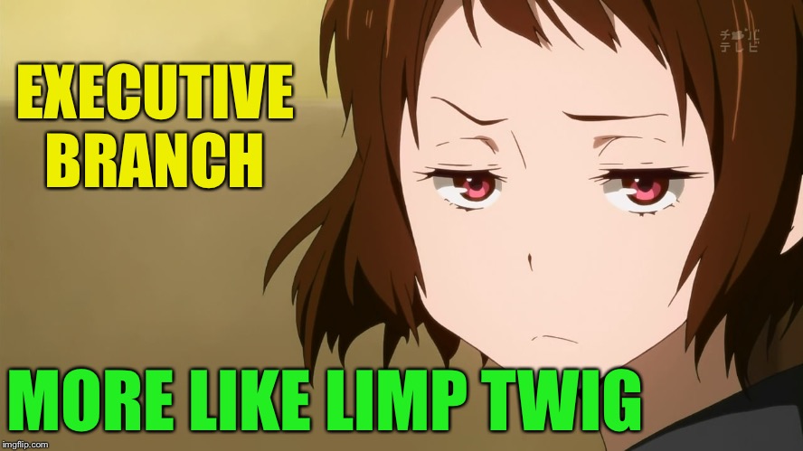 Anime Not Impressed | EXECUTIVE BRANCH MORE LIKE LIMP TWIG | image tagged in anime not impressed | made w/ Imgflip meme maker