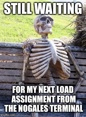 Waiting Skeleton Meme | STILL WAITING; FOR MY NEXT LOAD ASSIGNMENT FROM THE NOGALES TERMINAL | image tagged in memes,waiting skeleton | made w/ Imgflip meme maker