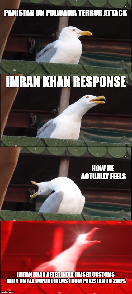 Inhaling Seagull | PAKISTAN ON PULWAMA TERROR ATTACK; IMRAN KHAN RESPONSE; HOW HE ACTUALLY FEELS; IMRAN KHAN AFTER INDIA RAISED CUSTOMS DUTY ON ALL IMPORT ITEMS FROM PAKISTAN TO 200% | image tagged in memes,inhaling seagull | made w/ Imgflip meme maker