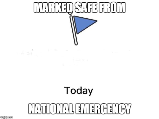 Marked safe from | MARKED SAFE FROM; NATIONAL EMERGENCY | image tagged in marked safe from | made w/ Imgflip meme maker