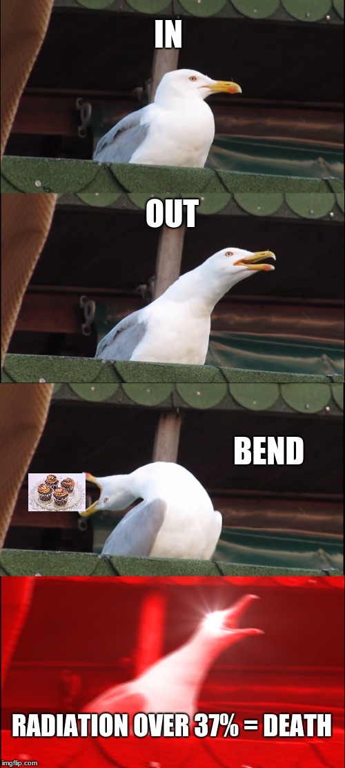 Inhaling Seagull Meme |  IN; OUT; BEND; RADIATION OVER 37% = DEATH | image tagged in memes,inhaling seagull | made w/ Imgflip meme maker