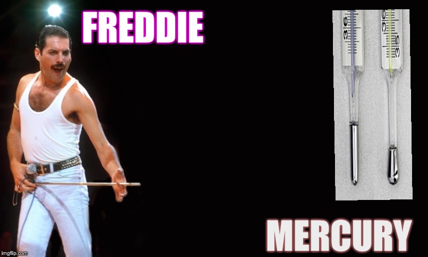 Queen Freddy Mercury | FREDDIE MERCURY | image tagged in queen freddy mercury | made w/ Imgflip meme maker