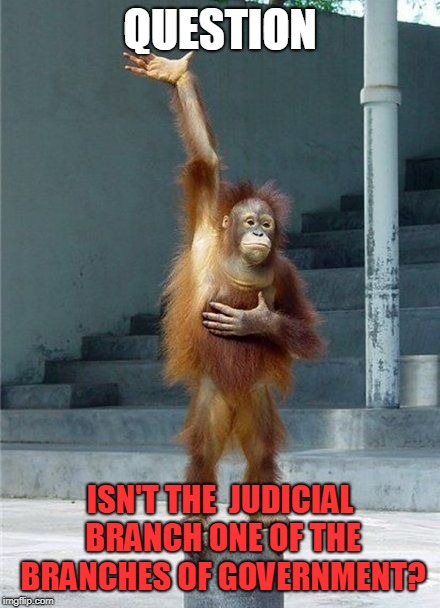 Monkey Raising Hand | QUESTION ISN'T THE  JUDICIAL BRANCH ONE OF THE BRANCHES OF GOVERNMENT? | image tagged in monkey raising hand | made w/ Imgflip meme maker