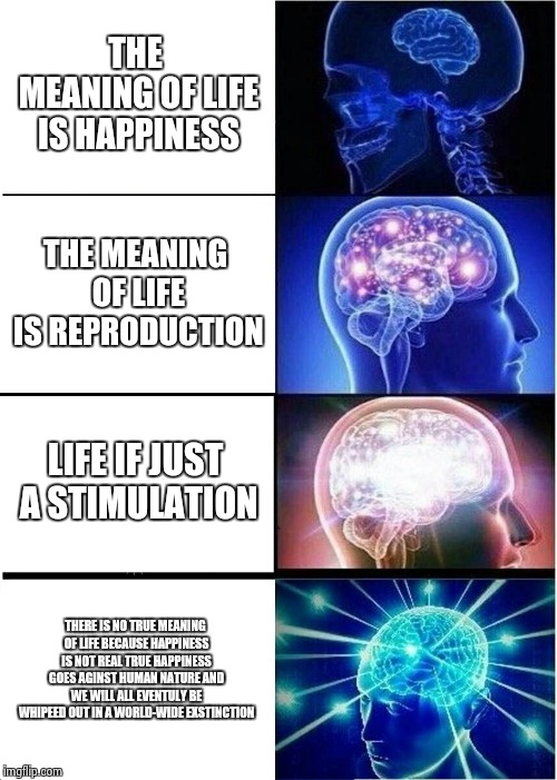 Expanding Brain Meme | THE MEANING OF LIFE IS HAPPINESS; THE MEANING OF LIFE IS REPRODUCTION; LIFE IF JUST A STIMULATION; THERE IS NO TRUE MEANING OF LIFE BECAUSE HAPPINESS IS NOT REAL TRUE HAPPINESS GOES AGINST HUMAN NATURE AND WE WILL ALL EVENTULY BE WHIPEED OUT IN A WORLD-WIDE EXSTINCTION | image tagged in memes,expanding brain | made w/ Imgflip meme maker