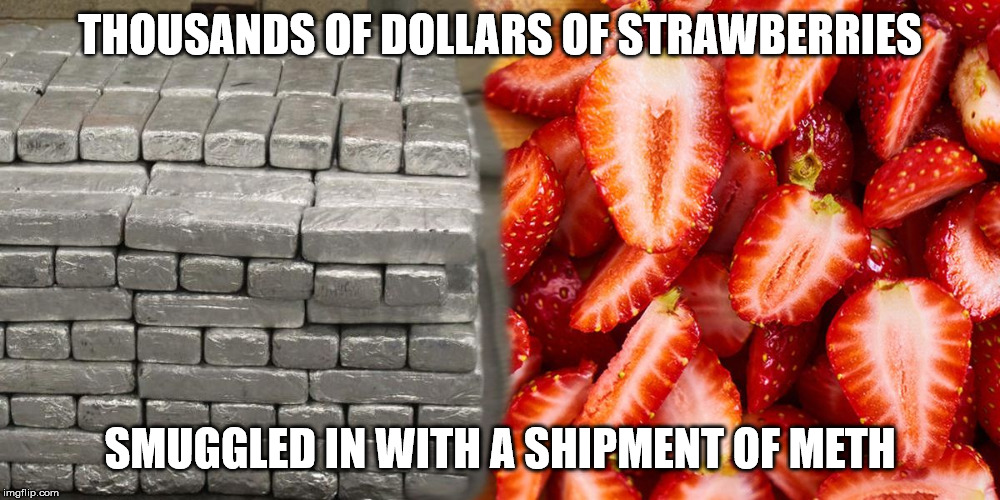 meth | THOUSANDS OF DOLLARS OF STRAWBERRIES; SMUGGLED IN WITH A SHIPMENT OF METH | image tagged in drugs,meth,funny | made w/ Imgflip meme maker