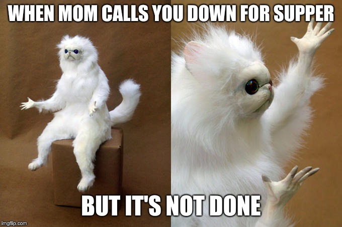 Persian Cat Room Guardian | WHEN MOM CALLS YOU DOWN FOR SUPPER; BUT IT'S NOT DONE | image tagged in memes,persian cat room guardian | made w/ Imgflip meme maker