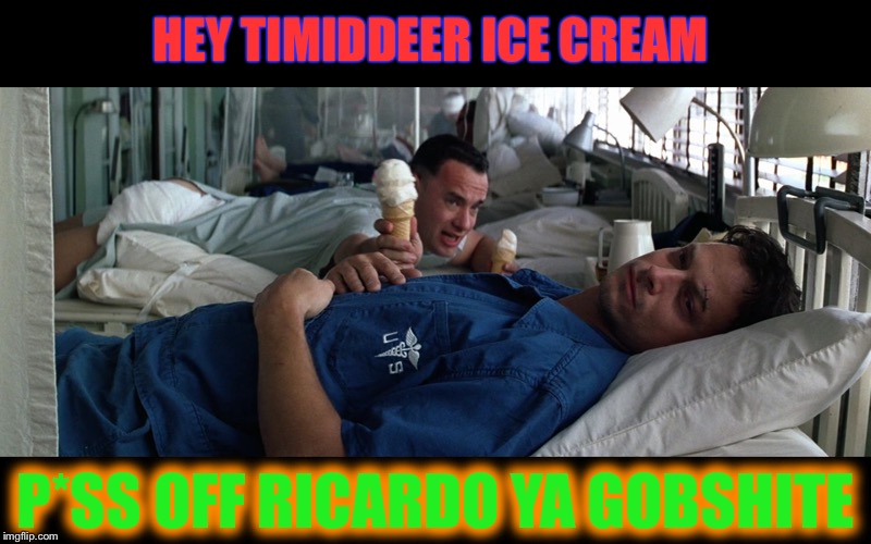 Lt dan ice cream 1 | HEY TIMIDDEER ICE CREAM P*SS OFF RICARDO YA GOBSHITE | image tagged in lt dan ice cream 1 | made w/ Imgflip meme maker