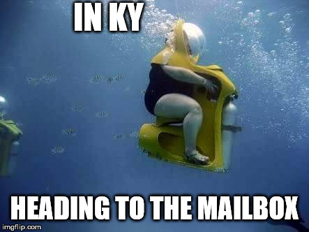 FLOOD TRANSPORT | IN KY; HEADING TO THE MAILBOX | image tagged in flood transport | made w/ Imgflip meme maker