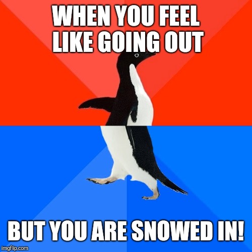 Socially Awesome Awkward Penguin | WHEN YOU FEEL LIKE GOING OUT; BUT YOU ARE SNOWED IN! | image tagged in memes,socially awesome awkward penguin | made w/ Imgflip meme maker