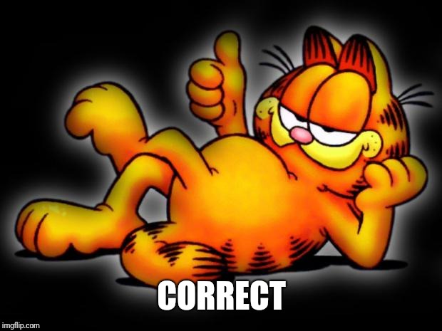 garfield thumbs up | CORRECT | image tagged in garfield thumbs up | made w/ Imgflip meme maker