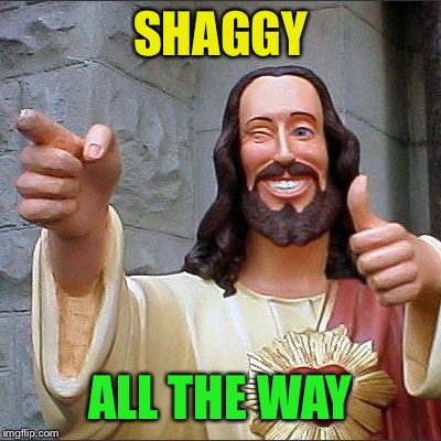 Buddy Christ Meme | SHAGGY ALL THE WAY | image tagged in memes,buddy christ | made w/ Imgflip meme maker