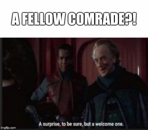 A FELLOW COMRADE?! | image tagged in a welcome surprise | made w/ Imgflip meme maker