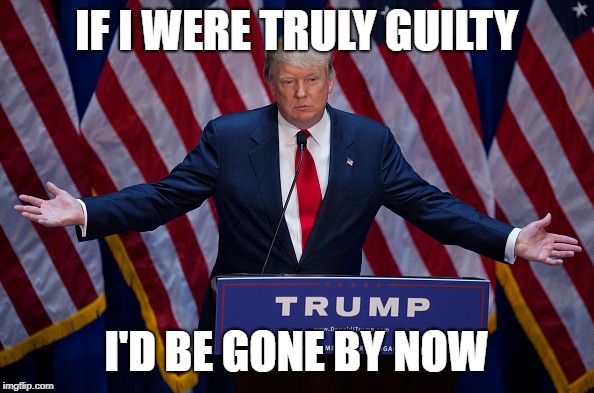 Donald Trump | IF I WERE TRULY GUILTY I'D BE GONE BY NOW | image tagged in donald trump | made w/ Imgflip meme maker